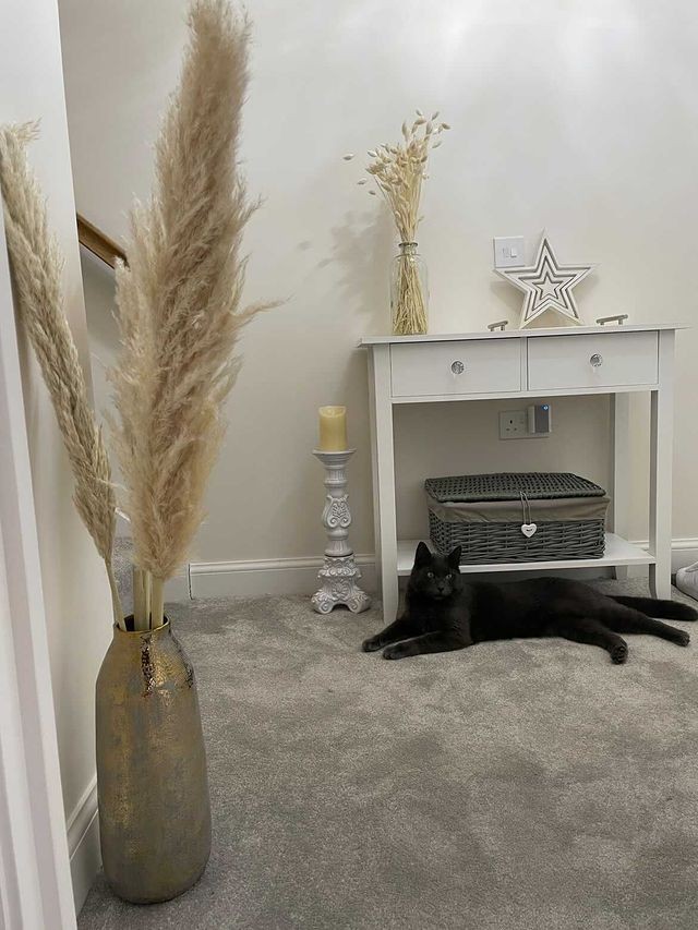 Malmo - Pewter Silver Stairs / Hallway