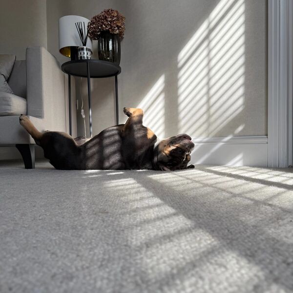 Santos - Oatmeal Cobble Beige Living Room