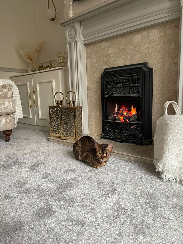 Breeze - Moonlight  Silver Living Room