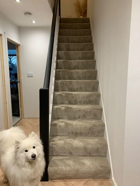 Tromso - Impala Grey Stairs