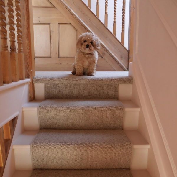 Elise - Sand Level Beige Stairs