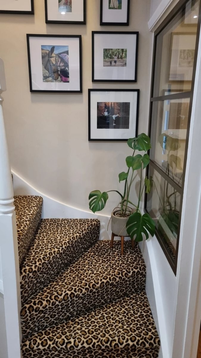Safari Ocelot Multicoloured Stairs / Hallway