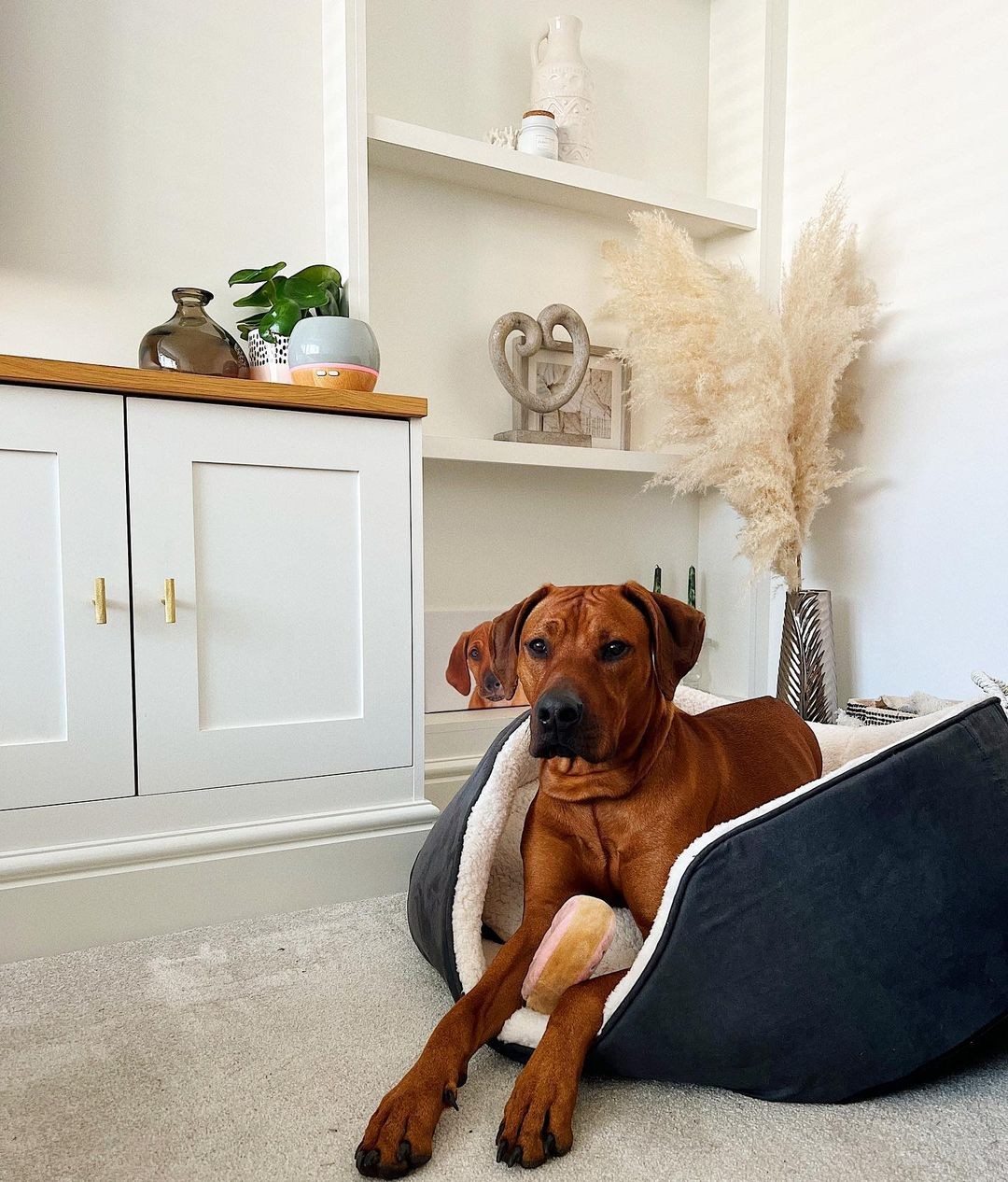 New Jersey - Oyster  Silver Living Room