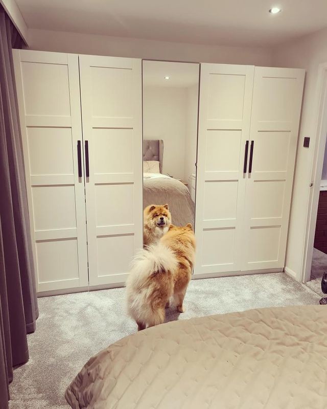 Helsinki - Gull Silver Bedroom