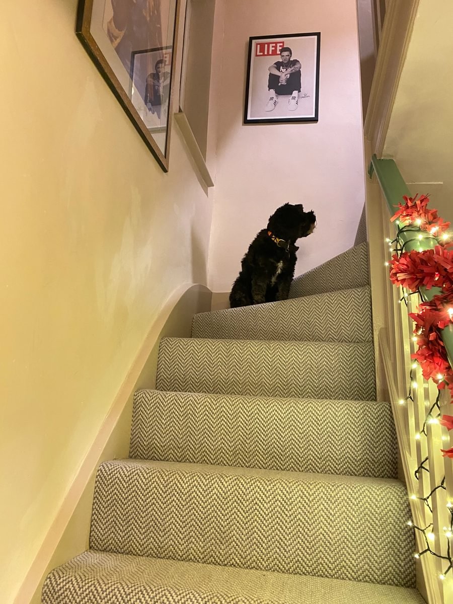 Flatweave Classic Herringbone in Dapple Blue Stairs