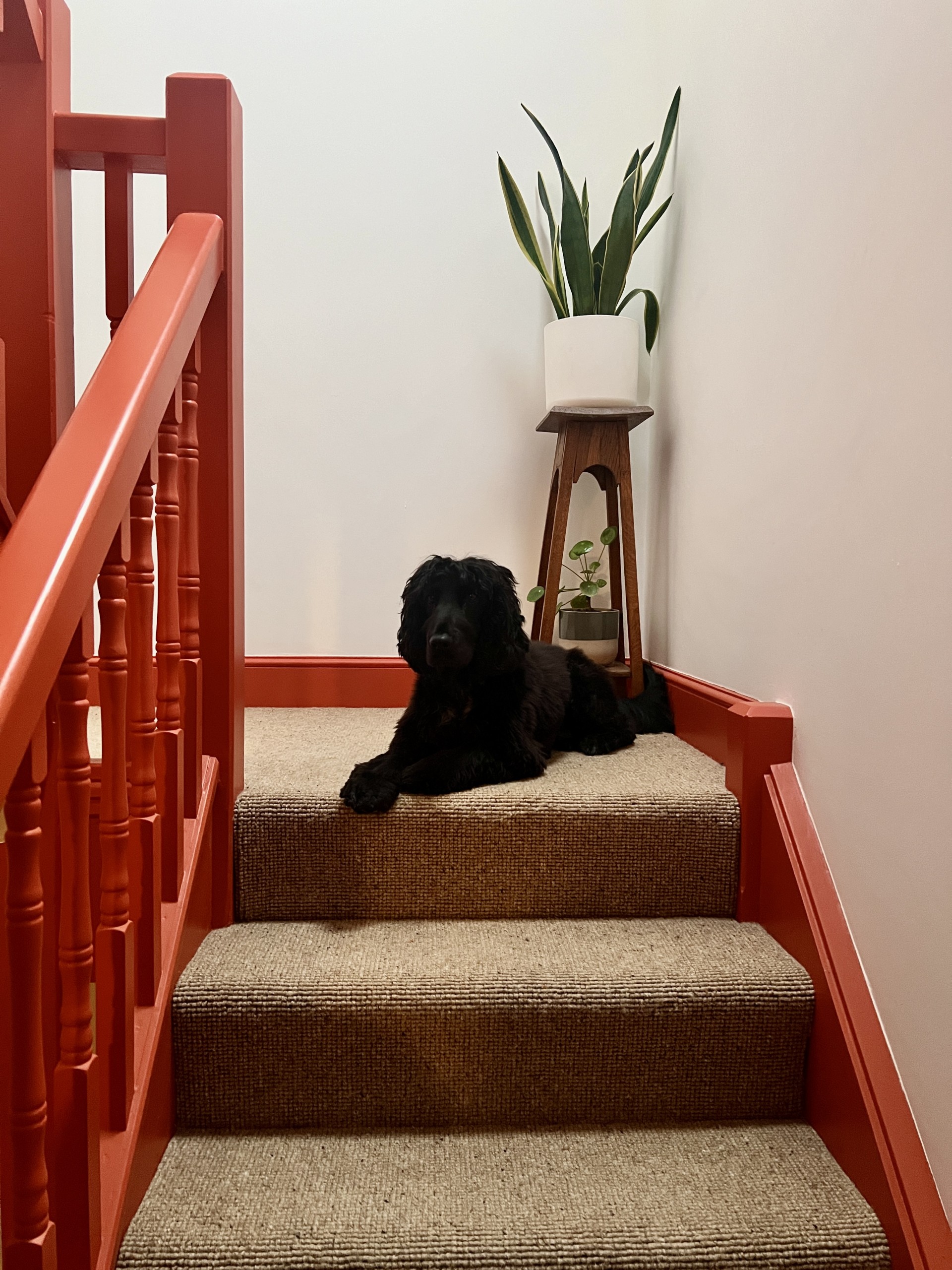 Europa - Parchment Cobble Beige Stairs